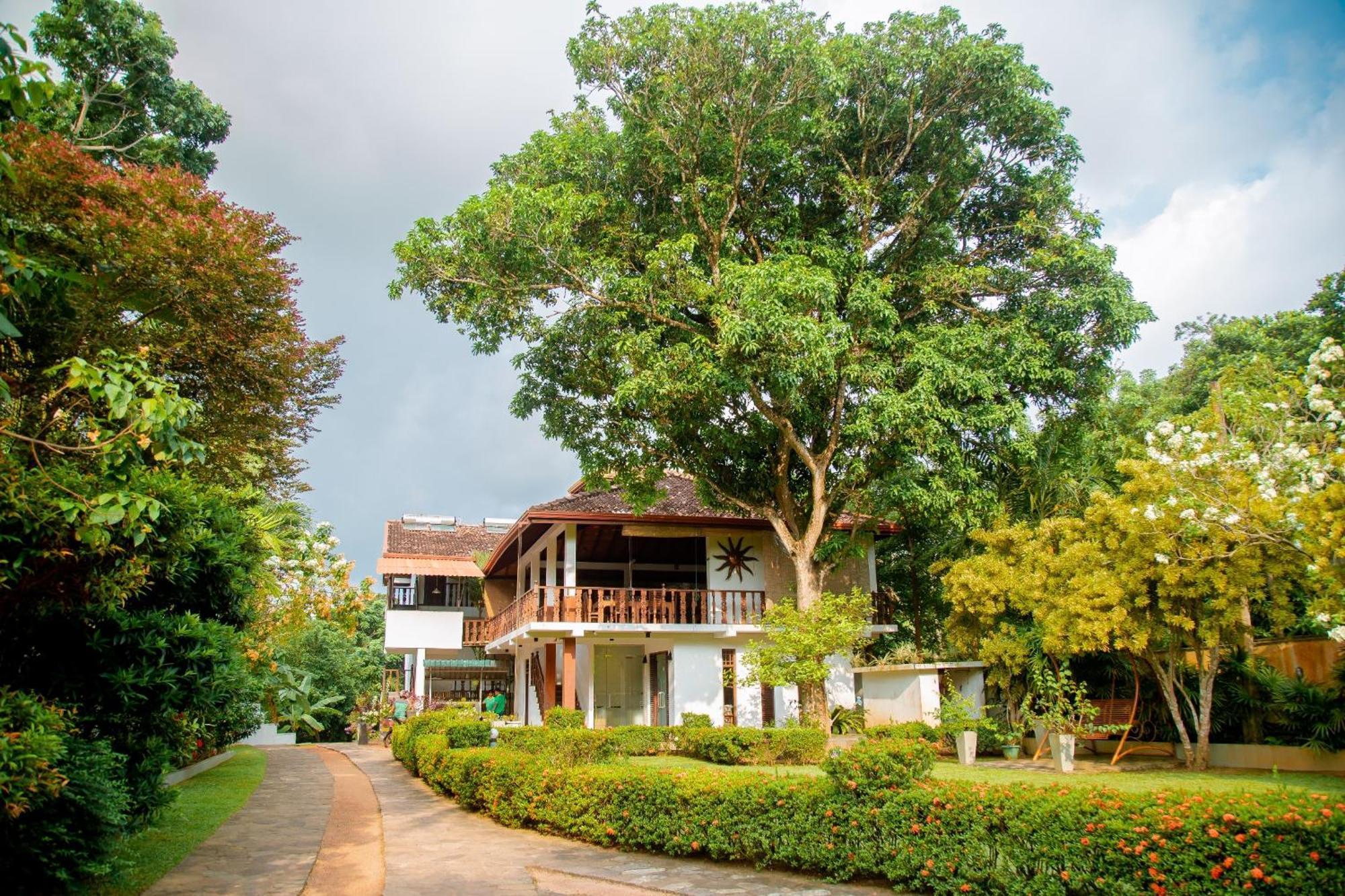 Rockery Villa Ayurveda Bentota Exterior photo